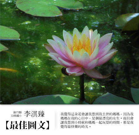 圖片說明