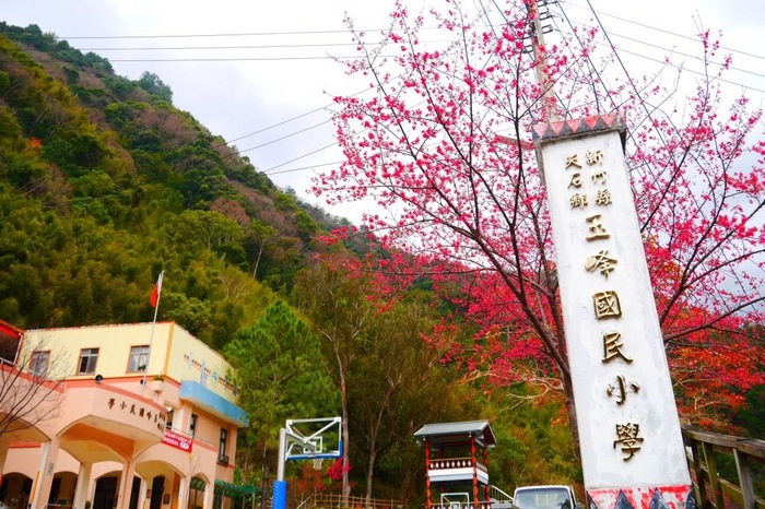 玉峰國小校園一隅